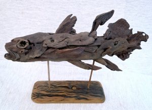 Coelacanth-pup-b