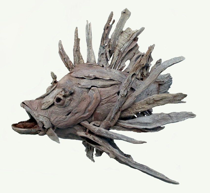 Lionfish-driftwood